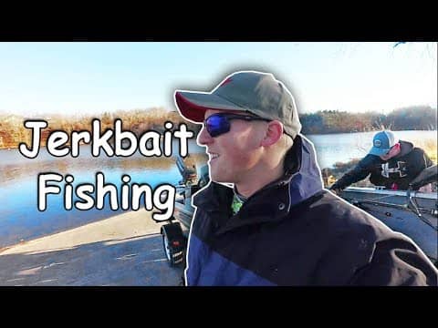 Spring Bass Fishing in Cold Water - LIVETARGET BAITBALL JERKBAIT
