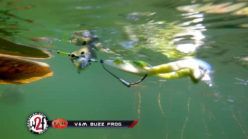 V&M Buzz Frog Underwater Video