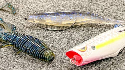 Top 5 Baits For Pond Fishing!