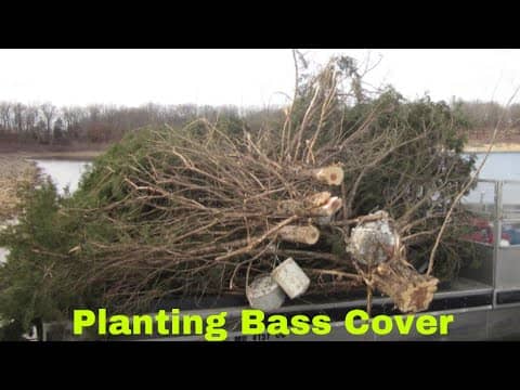 The Best Way To Plant Your OWN Bass Cover…