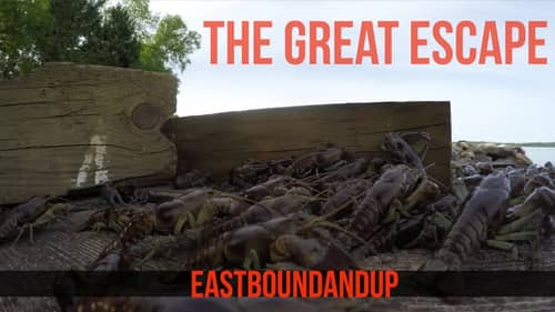 Rusty Crayfish - The Great Escape