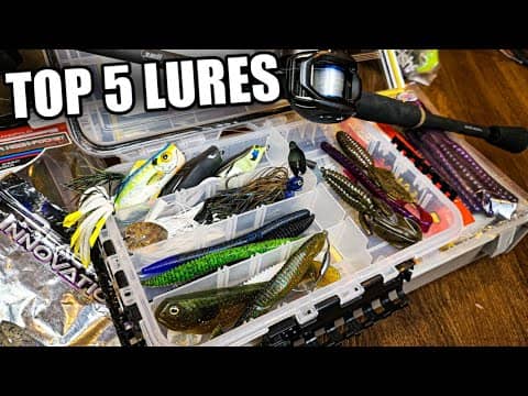 My TOP 5 Summer Bass Fishing Lures (Bank Fishing for Beginners)
