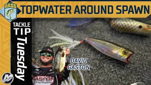 Utilizing Topwater before and during the bass spawn