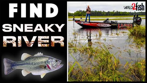 Bass Fishing Rivers (Grassy) | Tips to Find Good Spots