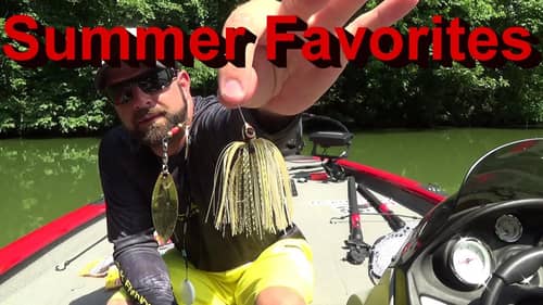 Top 5 Baits to Fish in Summer