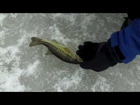 Fishing The Midwest: New Ice