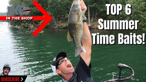 Top 6 Summer Time Baits!