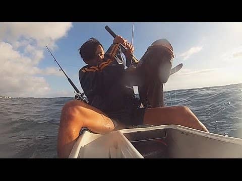 Live baiting for Cobia - Kayak Fishing gold coast