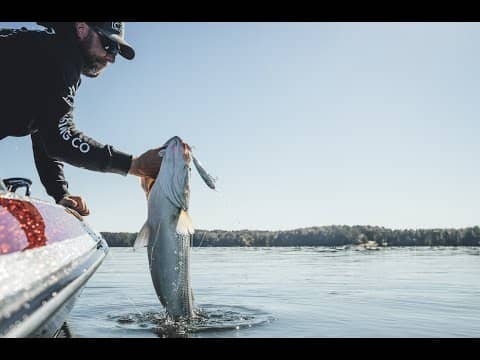 The CAST OG - Topwater Bass Fishing in America