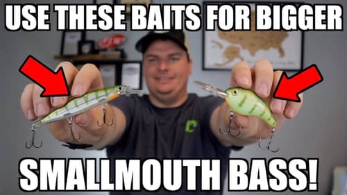 Best Baits for BIG Smallmouth Bass!