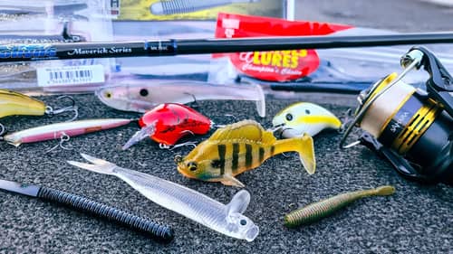 Bass Fishing Gear Review! New Rods, Reels, Swimbaits, Crankbaits and Soft Plastics!