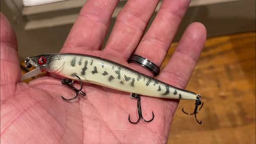 Why This Jerkbait Color Outproduces ALL Others In April