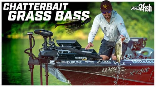 How to Find and Catch Grass Bass with ChatterBaits