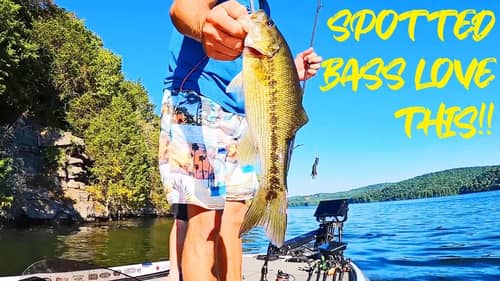 SPOTTED BASS FISHING - TRY THIS ON YOUR LAKE! (They Can't Resist)