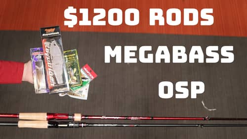 What's New This Week! Ever Green Japan Returns, Megabass Bento And More OSP!