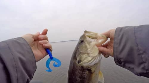 Winter Bass Fishing with Worms and Crankbaits