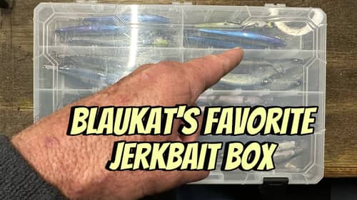 Have A Peek Into My Favorite Personal Jerkbait Box…