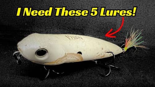 I Could Not Live Without These Bass Fishing Baits!