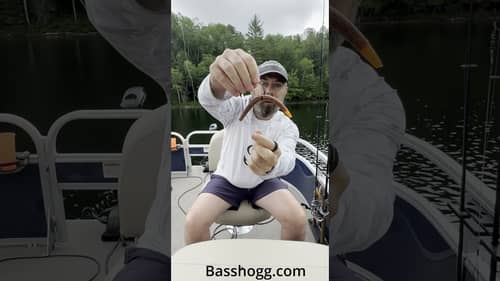 Basshogg Donnie Explains the Wacky Rig to Catch Bass #bass #bassfishing  #fishing #wacky #basshogg