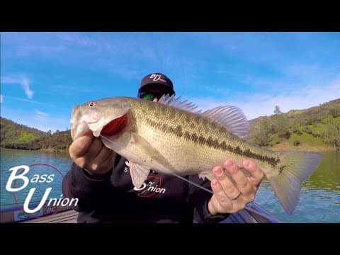 Spring Bass Fishing Lake Berryessa With Football Jigs And A-Rigs