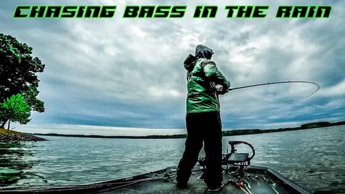 POWER FISHING For AGGRESSIVE Bass In the RAIN!!! || Lake Gaston
