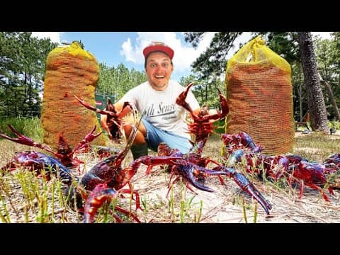Stocking MASSIVE Crawfish for a WORLD RECORD Bass in my Backyard Pond!!