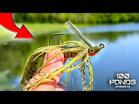 Fishing My Favorite Lure For Spring Pond Bass! (Bed Fishing With Jigs)