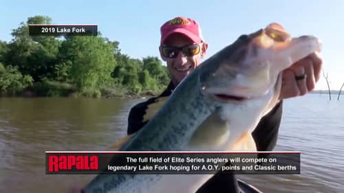 Livewell: Previewing Lake Fork