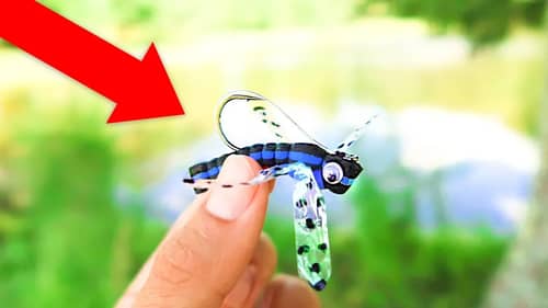 WEIRDEST Fishing Lure EVER (Surprising Results)