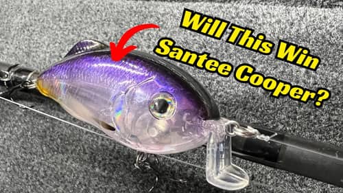 Will These Be The Winning Baits In The BPT Santee Cooper Event?