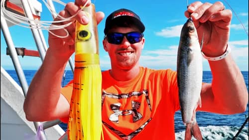 LIVE BAIT VS ARTIFICIAL Lures - Deep Sea Fishing in MEXICO!
