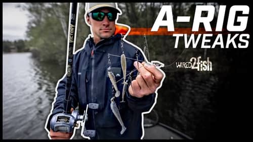 5 Alabama Rig Gear Tips for Increased Success