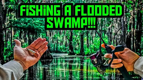 FLOODED SWAMP Is LOADED With AGGRESSIVE Migrating FISH!!!
