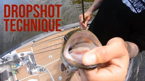 Dropshotting for Big Smallmouth How To
