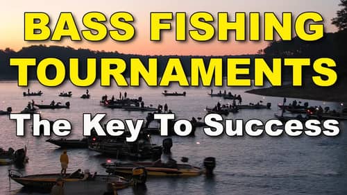 Tournament Strategies: Proven Keys For Best Performance | Bass Fishing