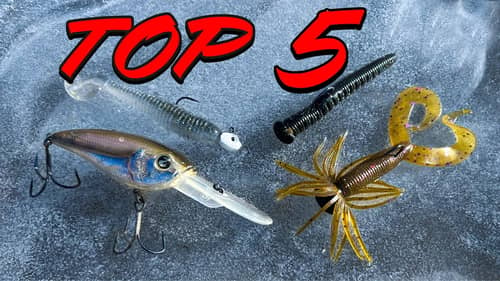 Top 5 Baits for January Bass Fishing!