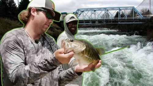 Shakey Head BEATDOWN - Flint River Bass Fishing