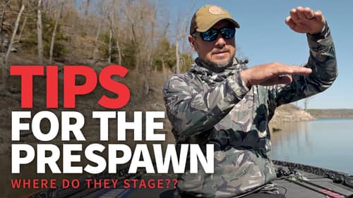 WHERE do they STAGE? (Pre-spawn Bass Fishing TIPS)