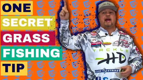 1 JUICY Secret Tip for Bass Fishing in Grass