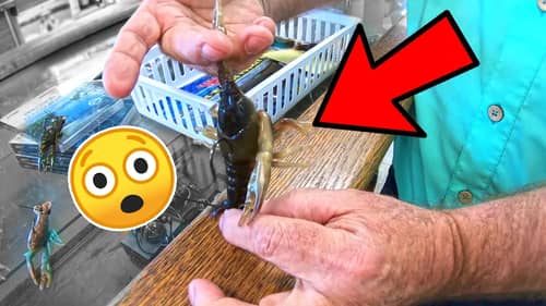 You Have NEVER Seen a FISHING LURE that Looked this REAL!!! (Tackle Shop REVEALED)