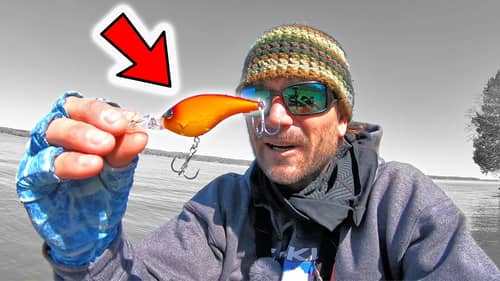 I LOVE this NEW CRANKBAIT for Spring Bass FISHING and Here's WHY!!!