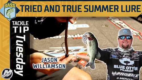 One of the most effective fishing lures with Jason Williamson