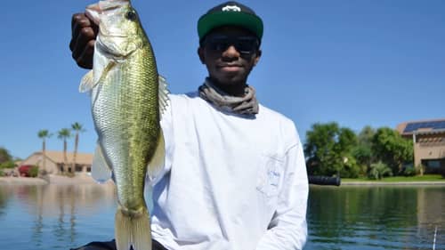 Fishing Jigs And Crankbaits For Early Fall Bass