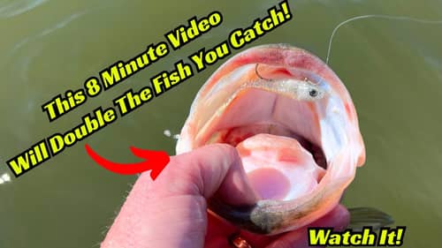 Watch This 8 Minute Video To Double The Amount Of Bass You Catch! It’s That Easy!