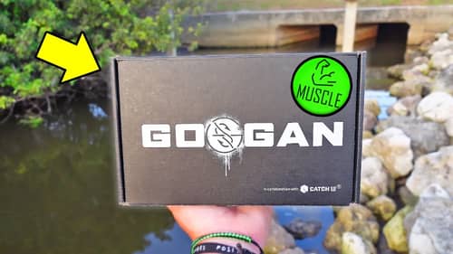 Googan MUSCLE BOX Slam! (Big Fish!)