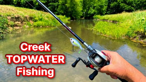 Topwater Creek Fishing Compilation