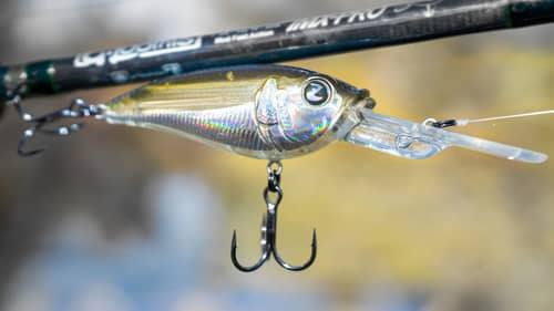 TacticalBassin's New Cold Water Crankbait! Catch Your Biggest Bass This Winter!