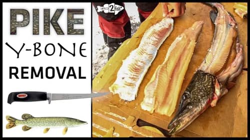 Easy Pike Y-Bone Removal | Whole Fillet Method