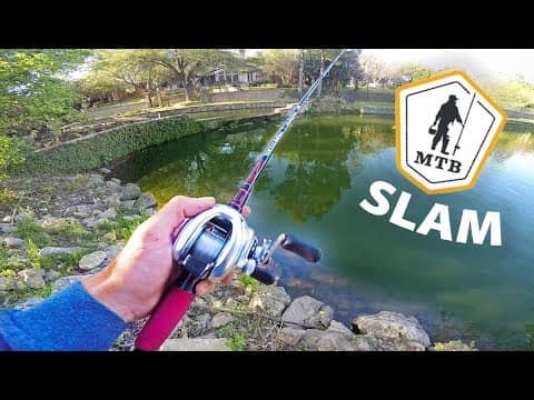 Neighborhood Pond Hopping For Urban Fish -- (MTB SLAM CHALLENGE)