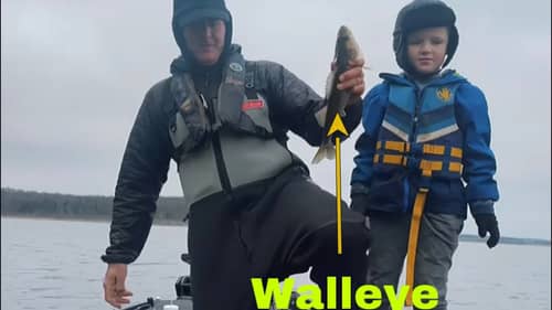 The Best Tip Ever For Catching Walleye On Jerkbaits